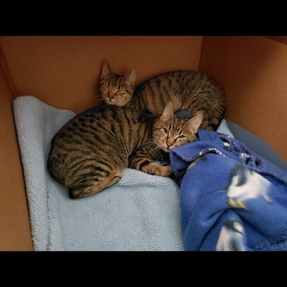 Alex & Ali - Picture 4 of 9